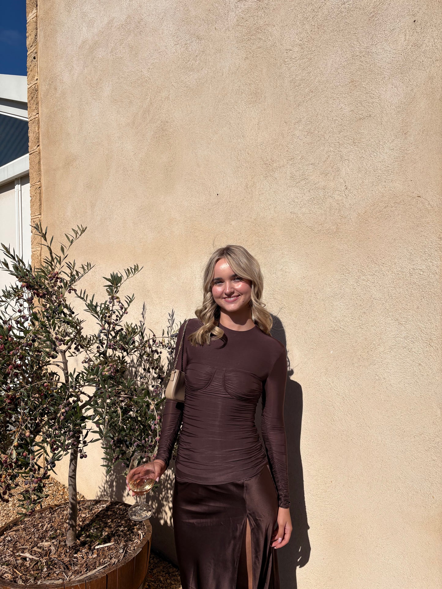 SIR Alessia Dress in Brown