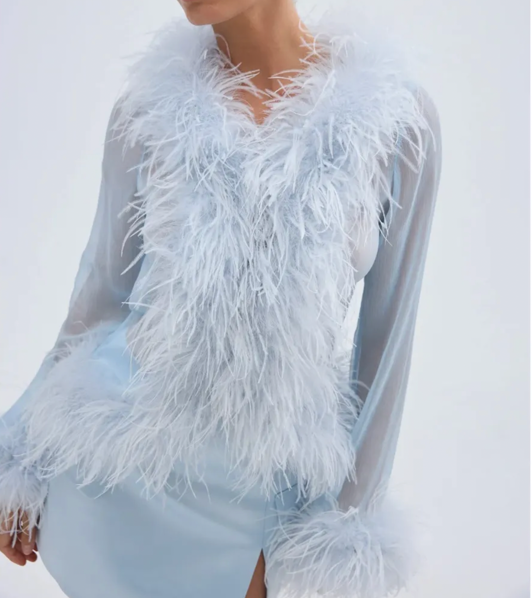 Bubish Luxe Gigi Sheer Feather Blouse - Blue