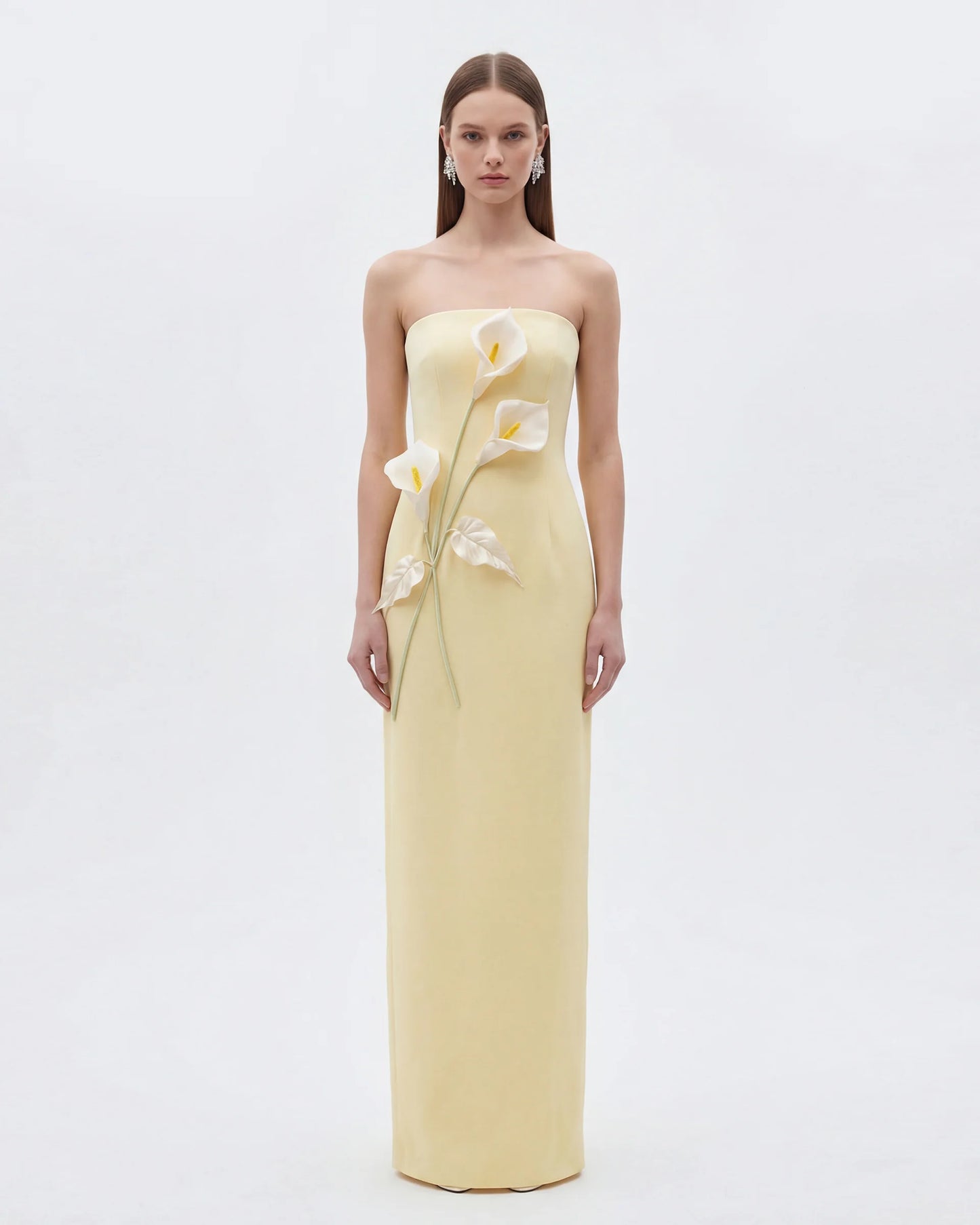 Jw Pei Appliqué Strapless Dress