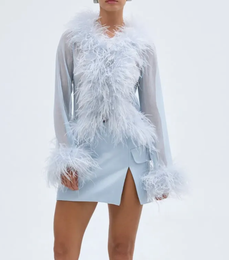 Bubish Luxe Gigi Sheer Feather Blouse - Blue