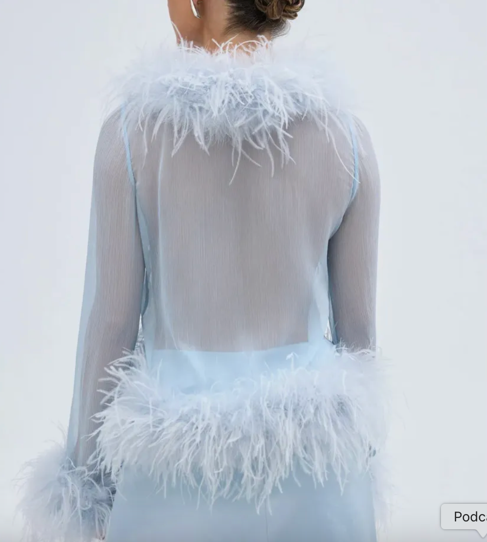 Bubish Luxe Gigi Sheer Feather Blouse - Blue